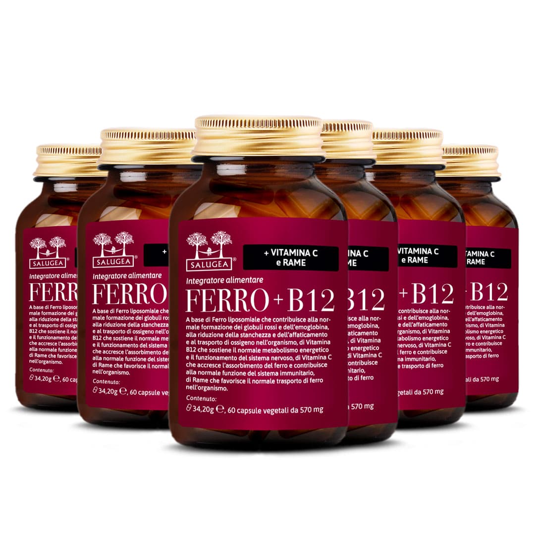 6 confezioni dell'integratore Ferro + B12 Salugea