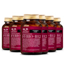 6 confezioni dell'integratore Ferro + B12 Salugea