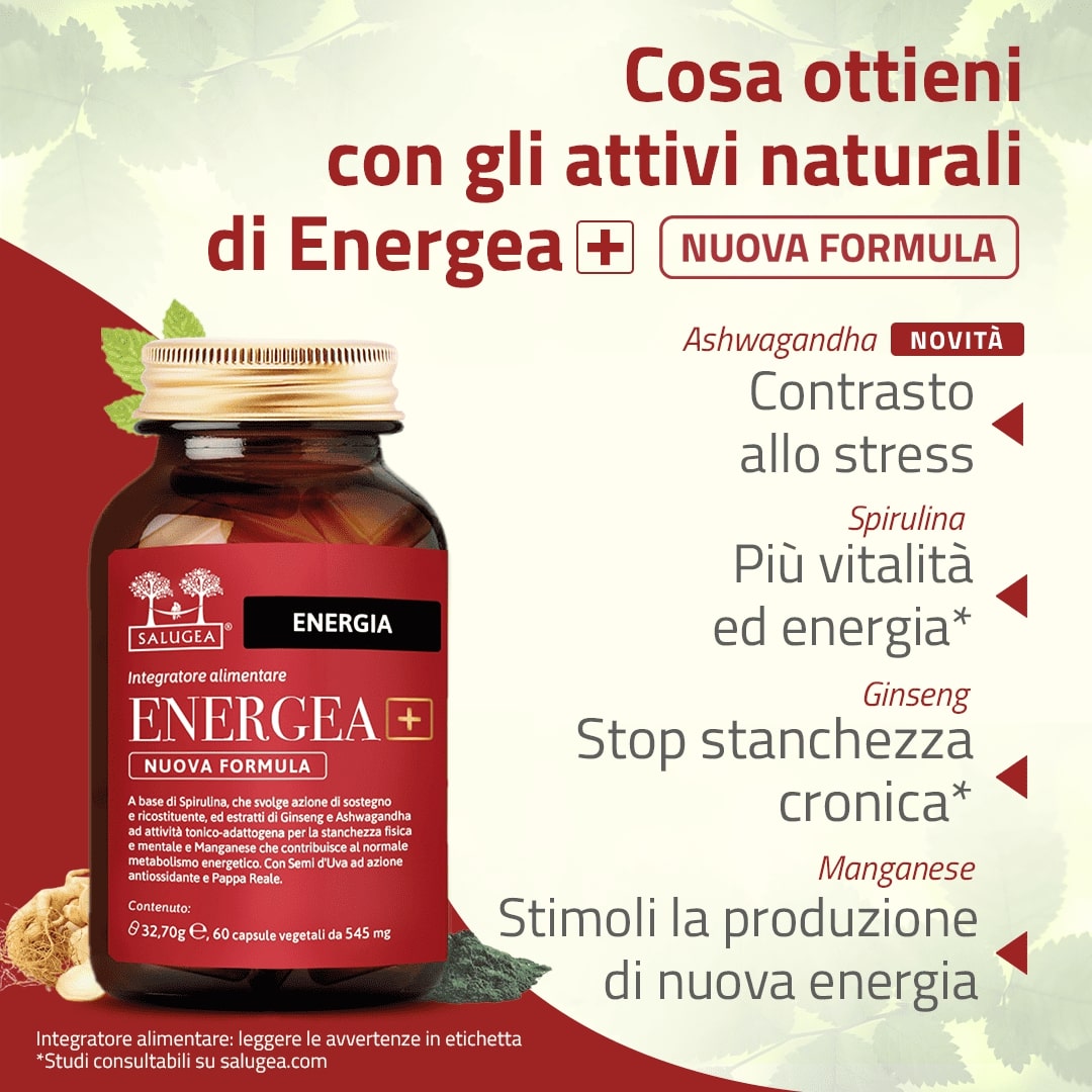 benefici di Energea+