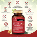 caratteristiche dell'integratore energizzante Energea+