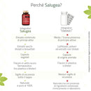 dettagli tecnici di Energea+