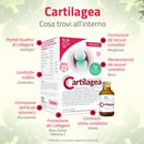 cosa contiene l'integratore Cartilagea
