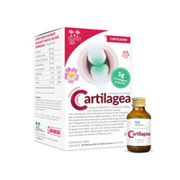 Cartilagea, Supplement for Cartilage