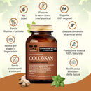 caratteristiche di Colonsan