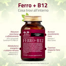 cosa contiene l'integratore Ferro + B12 Salugea