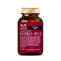 Ferro + B12 Salugea Supplement
