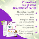 a cosa serve l'integratore per l'intestino Intestinum Forte