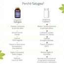 dettali tecnici di Memosan