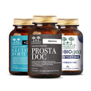 Programma Prostata Salugea