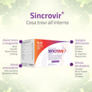 cosa contiene Sincrovir