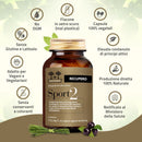 caratteristiche dell'integratore per il recupero muscolare Sport 2 Recupero