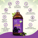 caratteristiche del succo di acai salugea