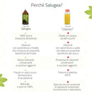 dettagli tecnici dell'aloe Salugea