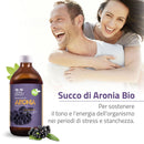 Succo di Aronia Bio Salugea contro la stanchezza