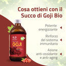 benefici del Succo di Goji Bio