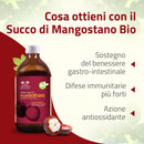 benefici del Succo di Mangostano Bio