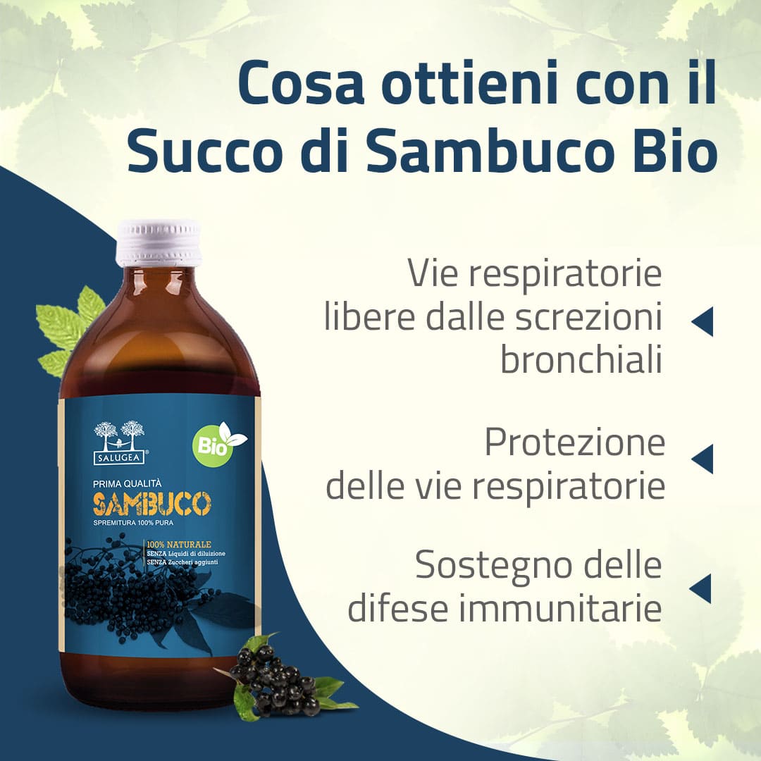 benefici del Succo di Sambuco Bio