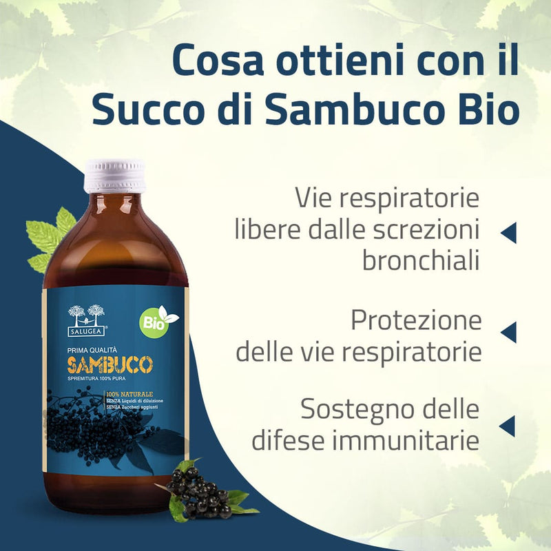 benefici del Succo di Sambuco Bio